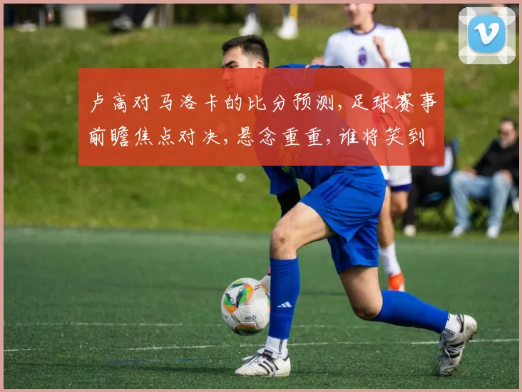 卢高对马洛卡的比分预测,足球赛事前瞻焦点对决,悬念重重,谁将笑到最后